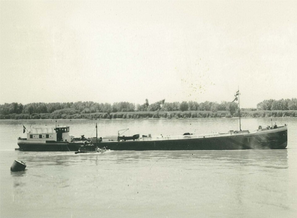 1961
