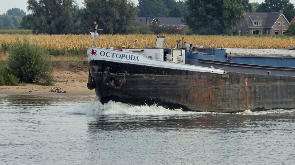 Mts Octopoda Sailing